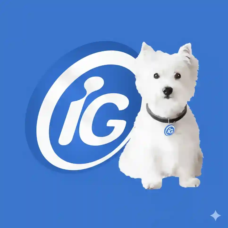 logo ig
